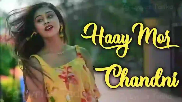 Hay Mor Chandni Lyric -Nitin Dubey